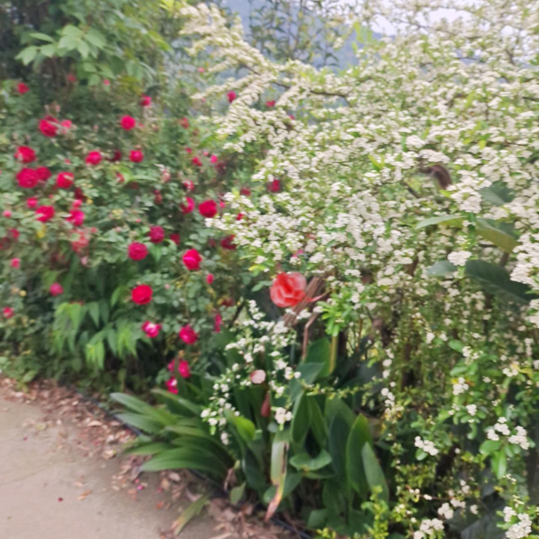 照顾好自己，开开心😄心❤️过好每一天