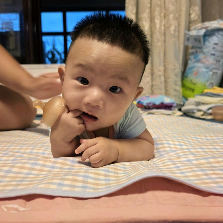 多乐爸爸
