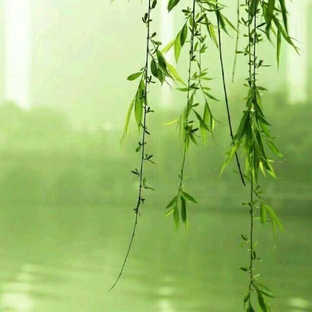 豫南山水情