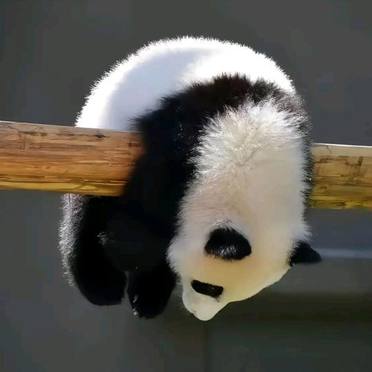 嘉nnnn、