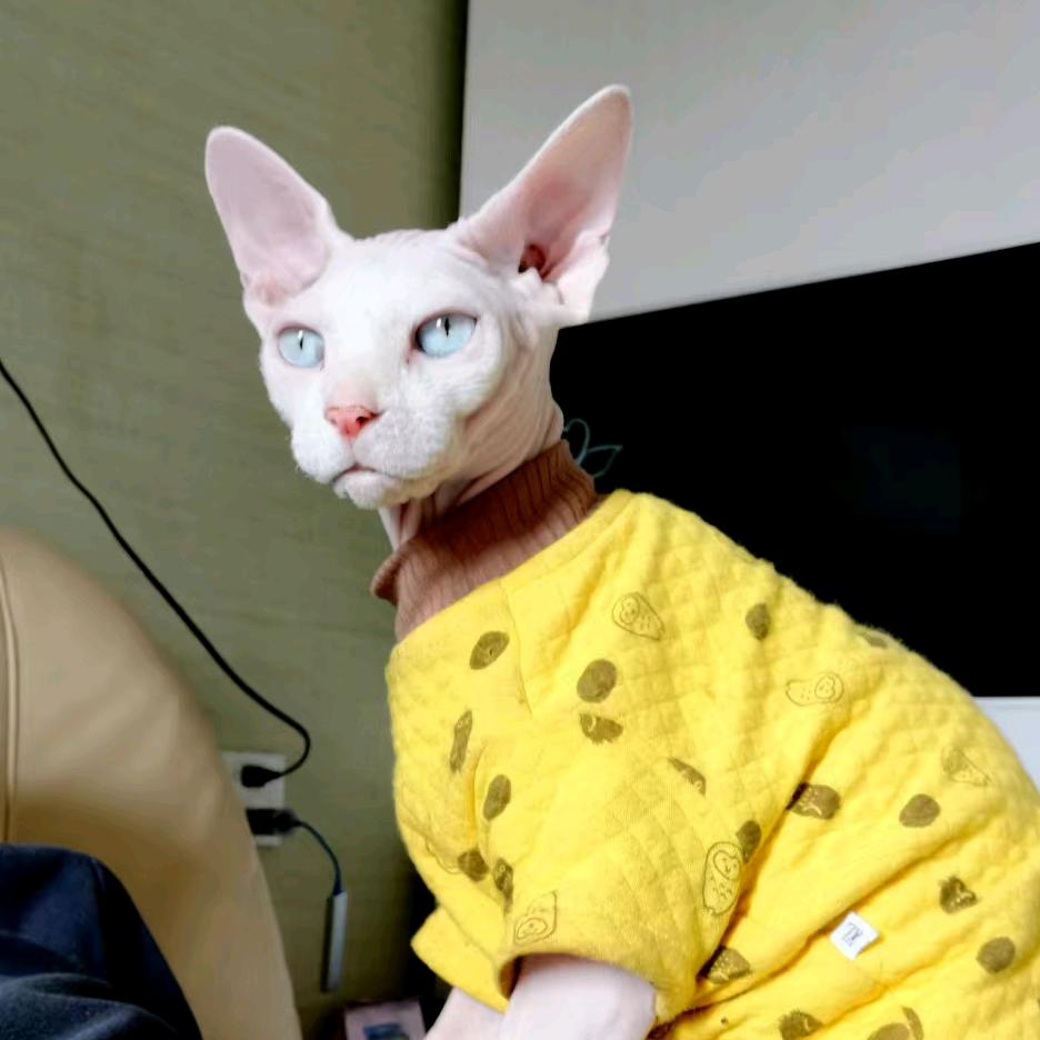 左岸屿family👨‍👩‍👦