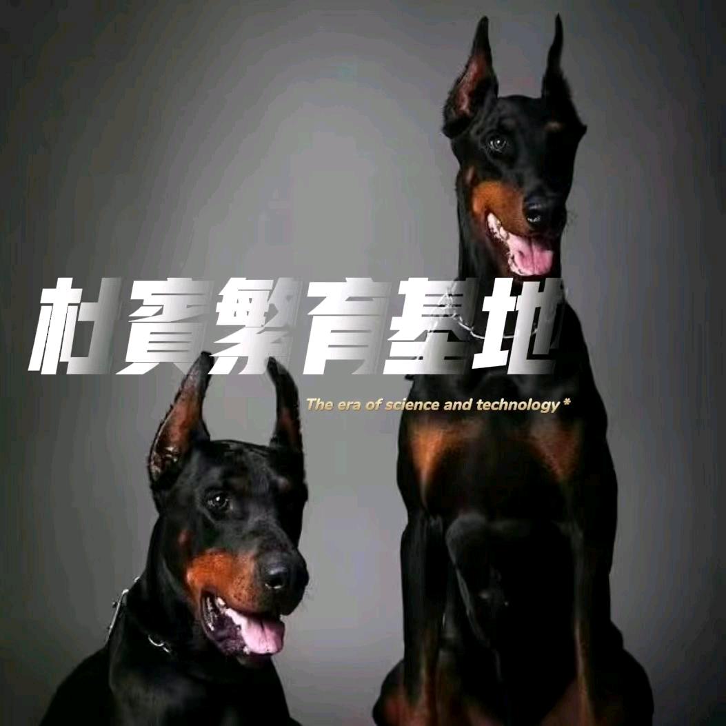 富贵杜宾犬舍