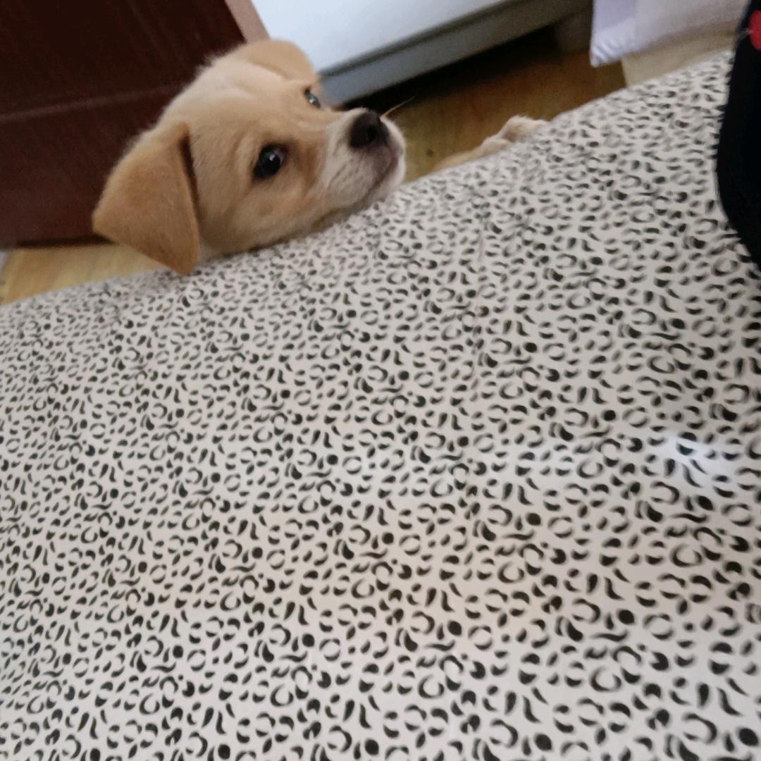 用户542317895
