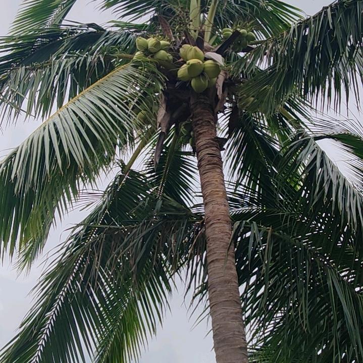 一切随缘，顺其自然