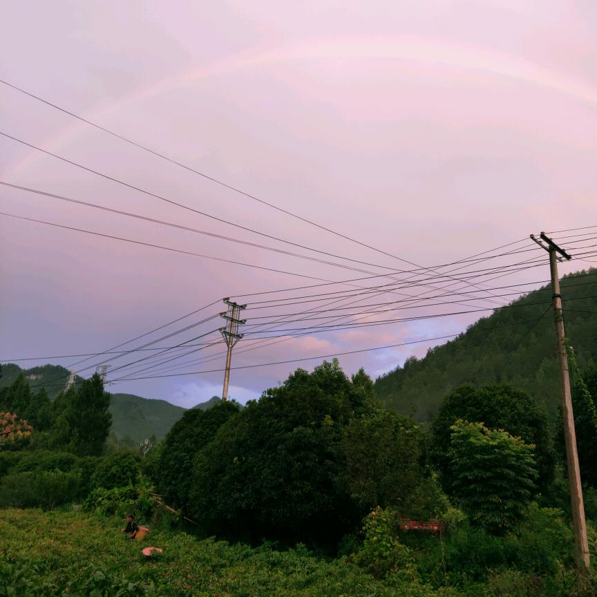 王丽芬