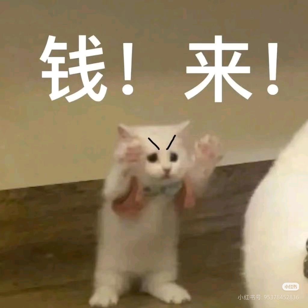 晚上吃什么