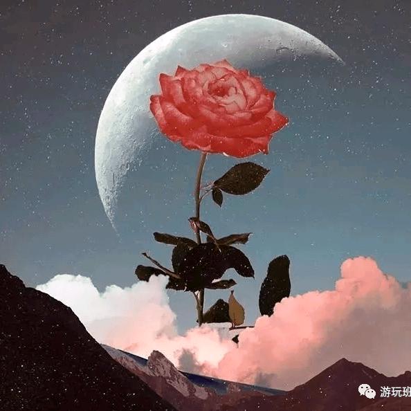 蘭花一支