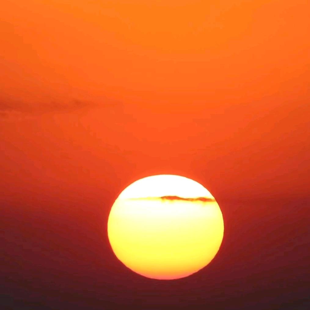 冬日暖阳☀️☀️☀️