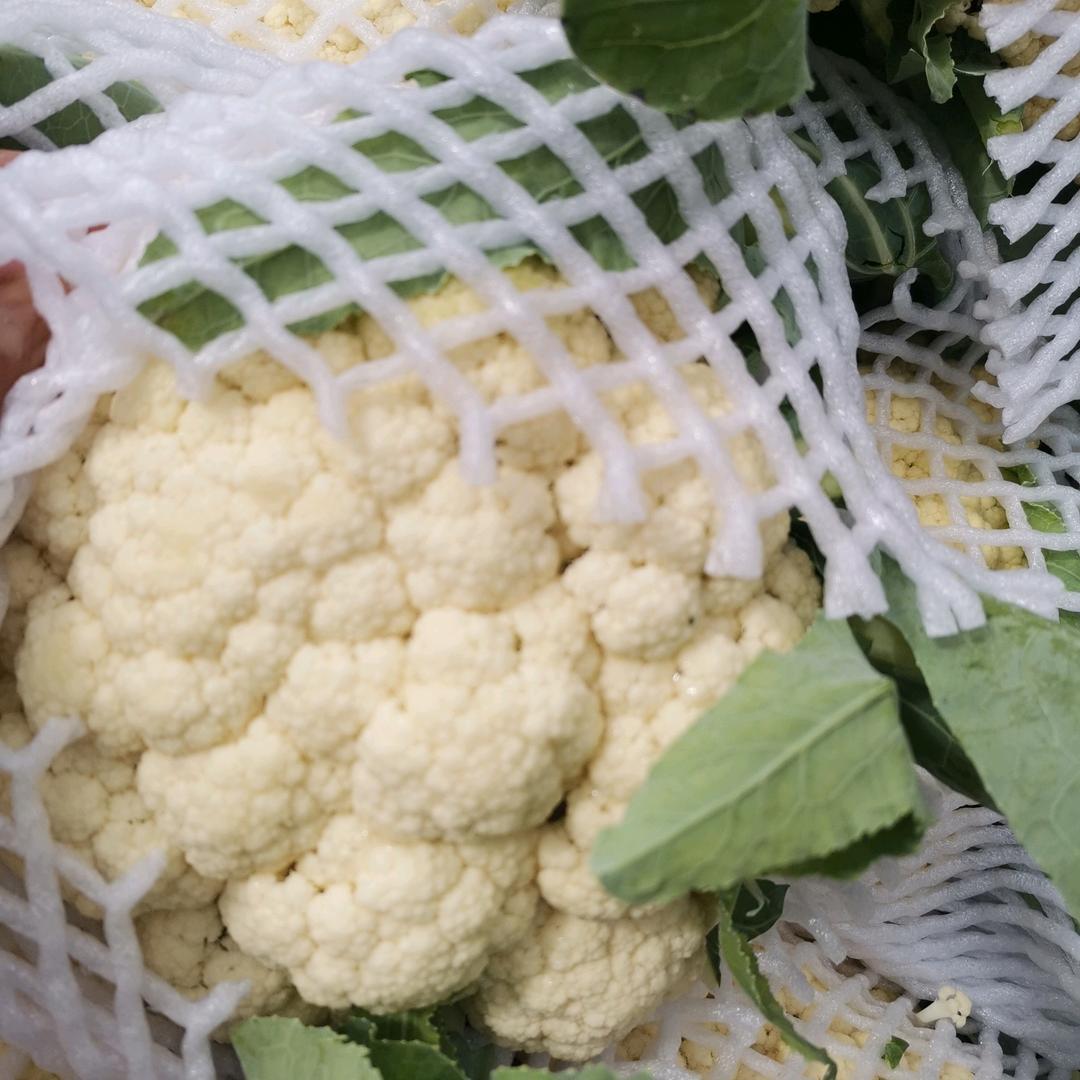 老梁，蔬菜代收代发