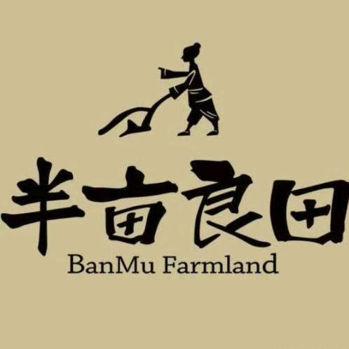 七台河市桃山区刘记半亩良田排骨米饭店
