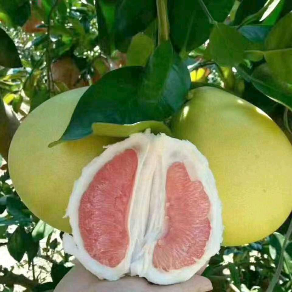 钱海升