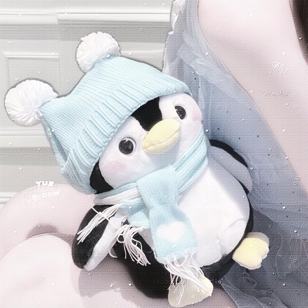 小小宇
