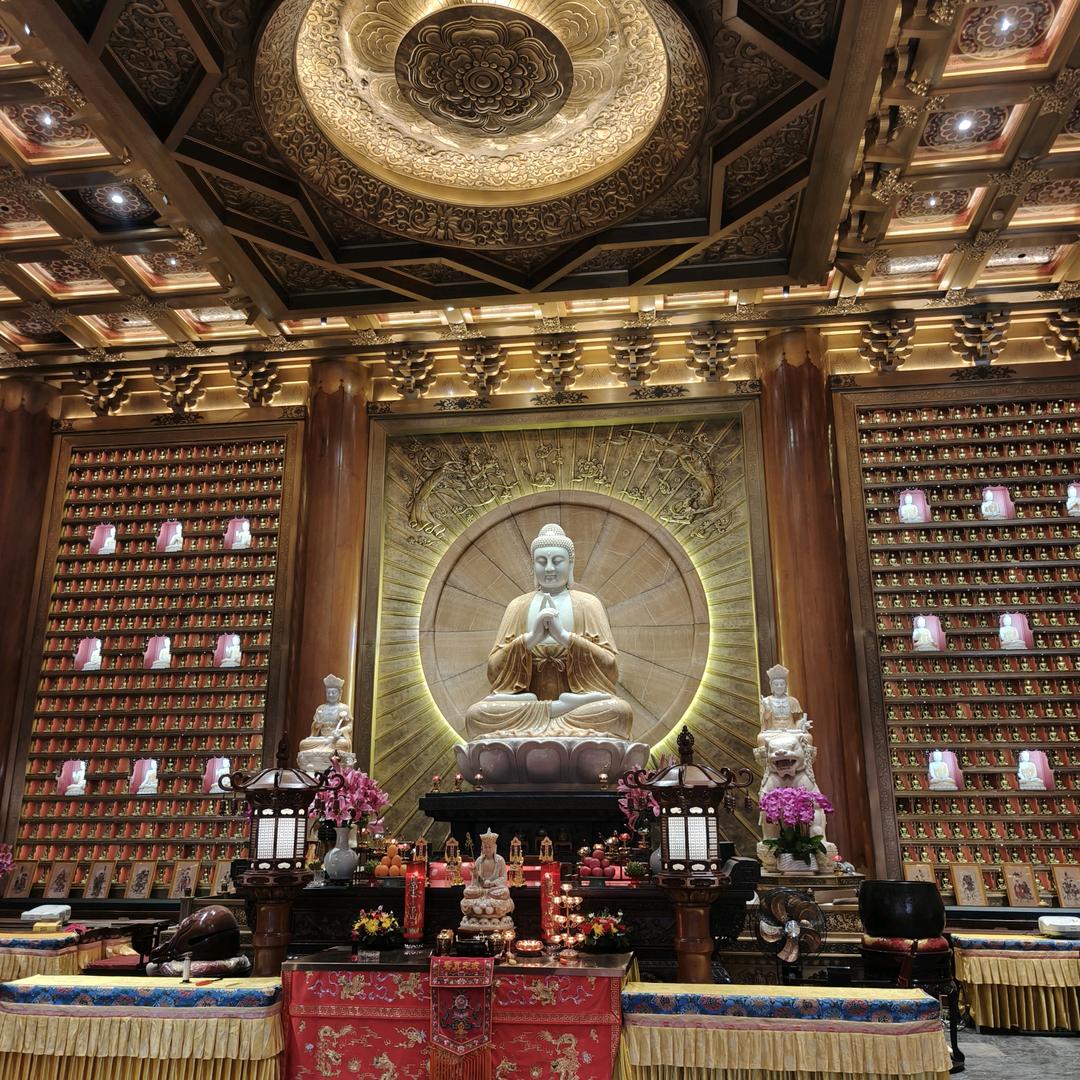 红尘来去一场梦@