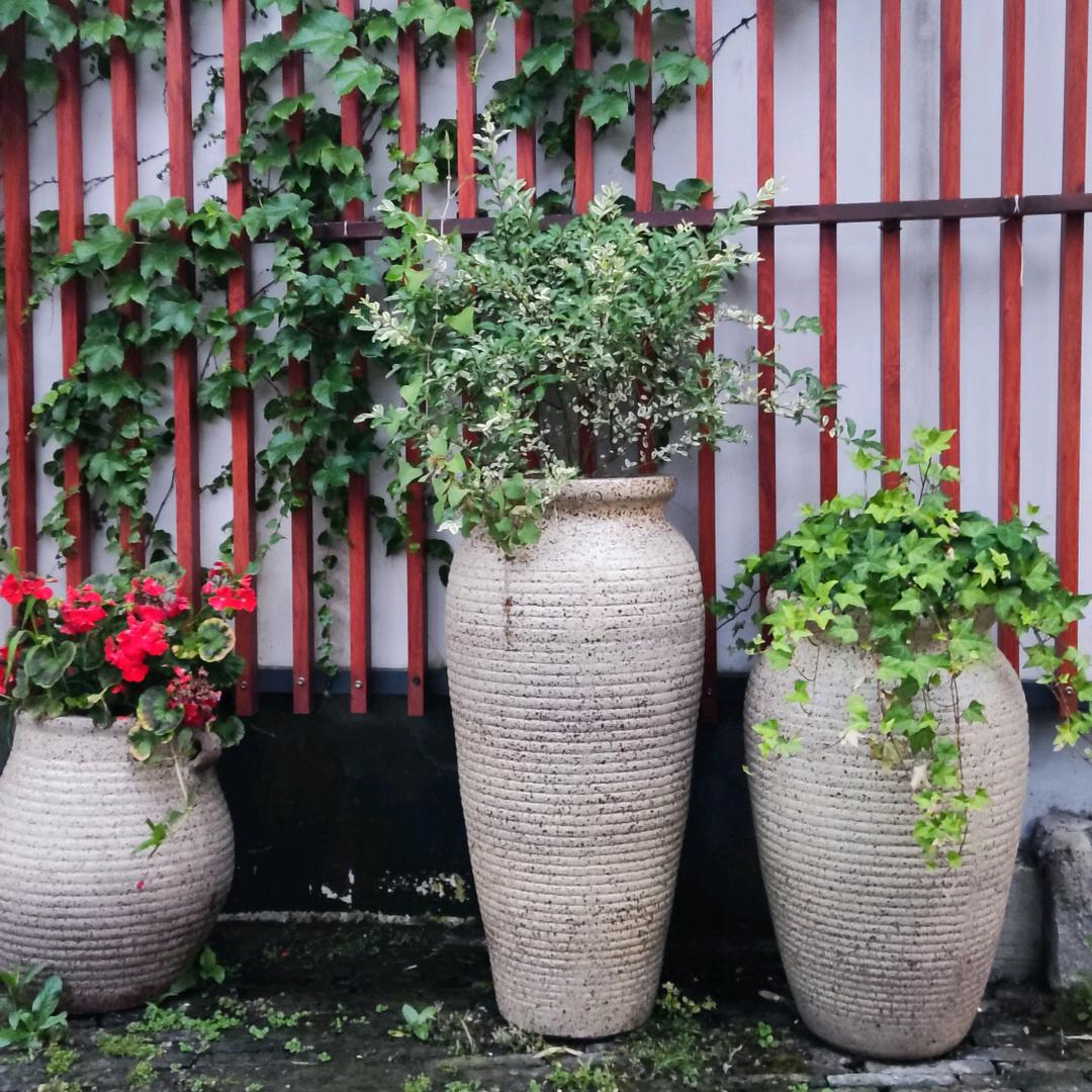 小苏陪诊