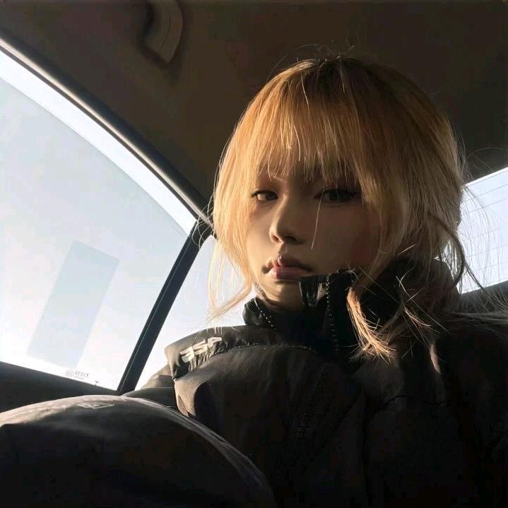 小猫肘击大象🐘