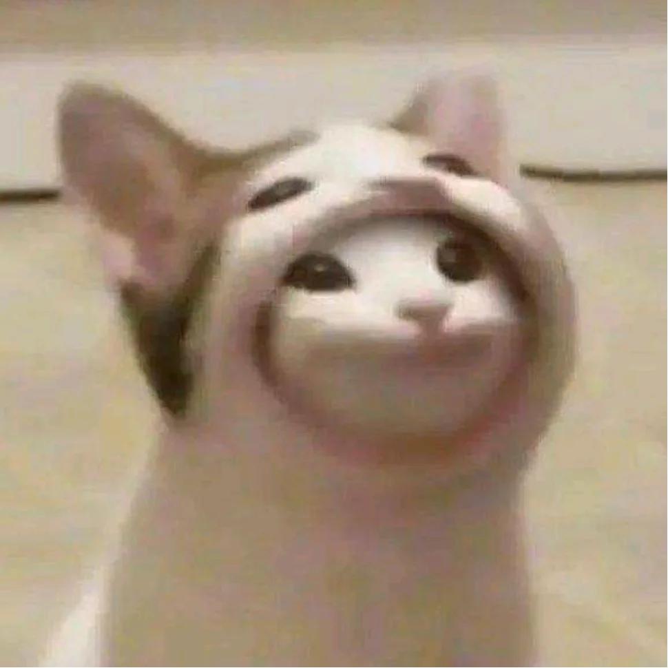 臻选好物返场