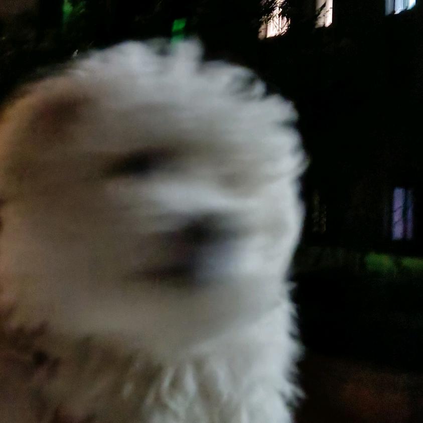 向着光