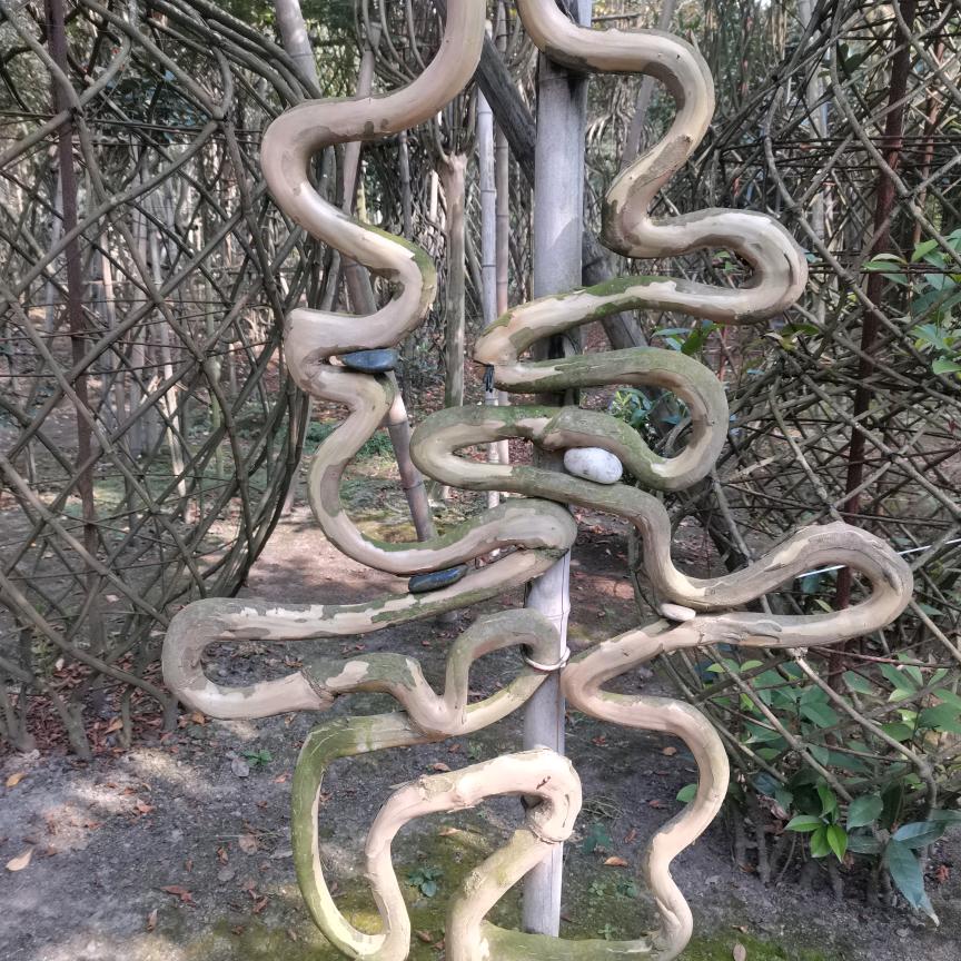 、花瓶自产自销