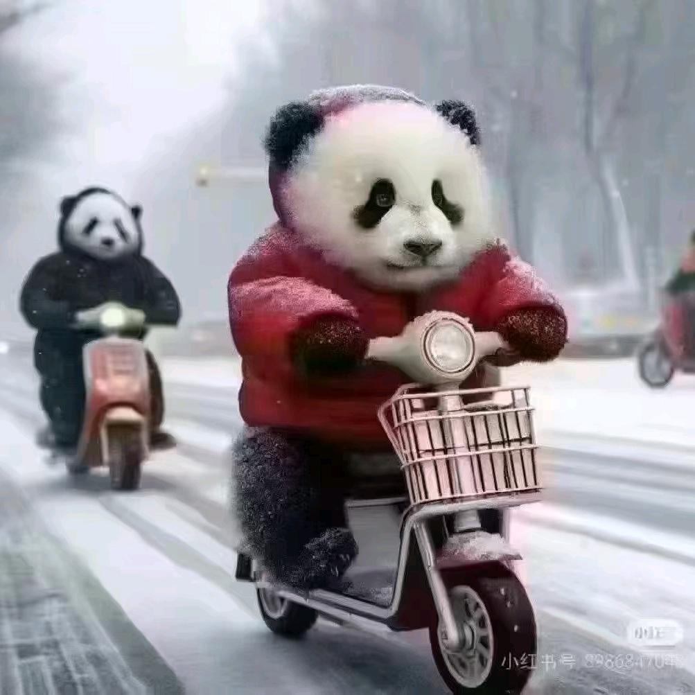 一帆风顺