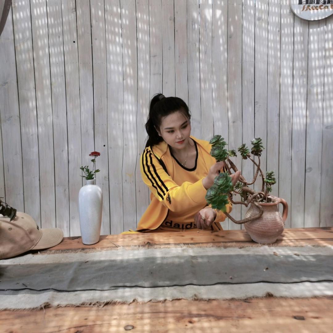 婷儿🌹🌹🌹