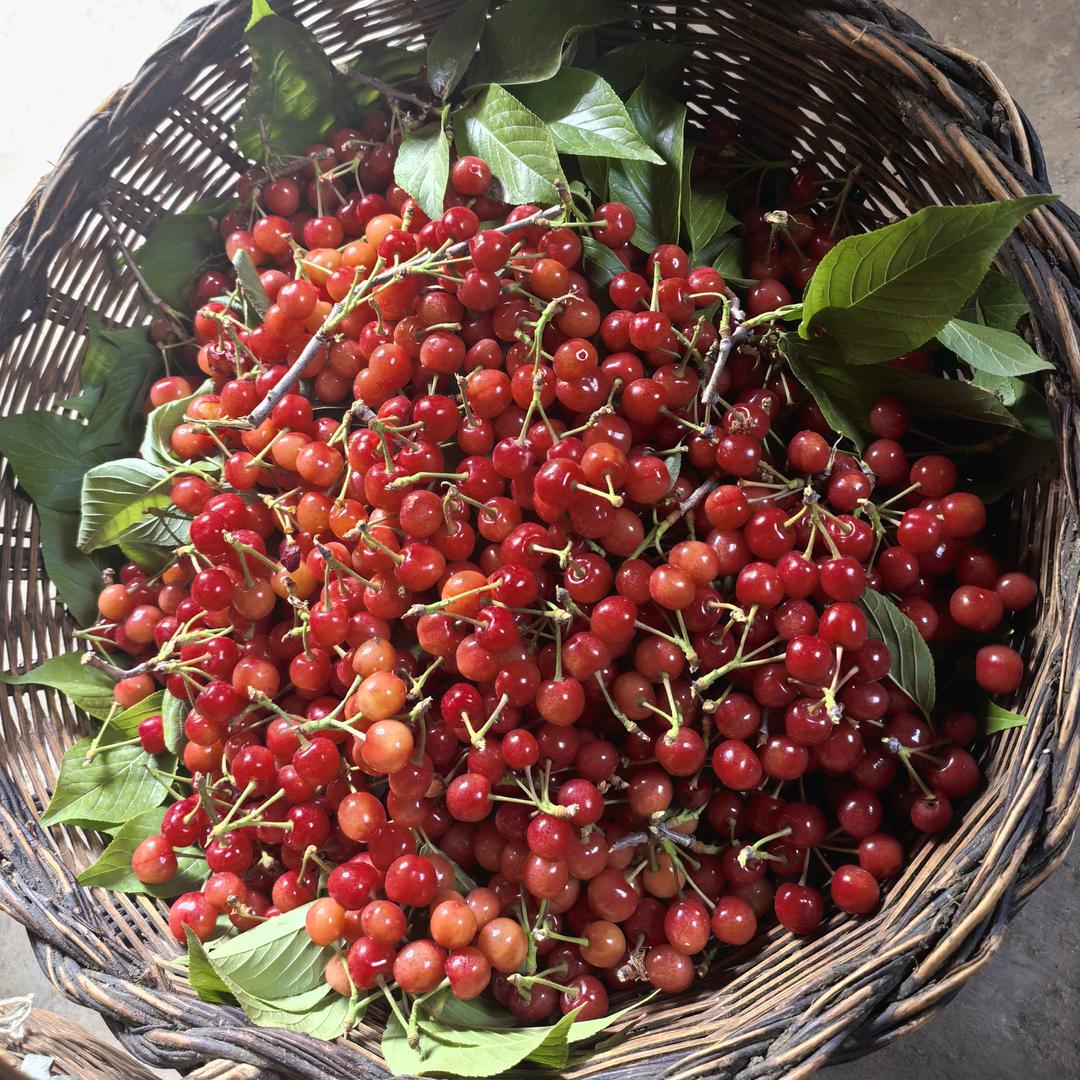 卓越的麻麻⚡️⚡️⚡️