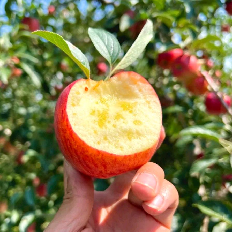 千果优选水果小铺