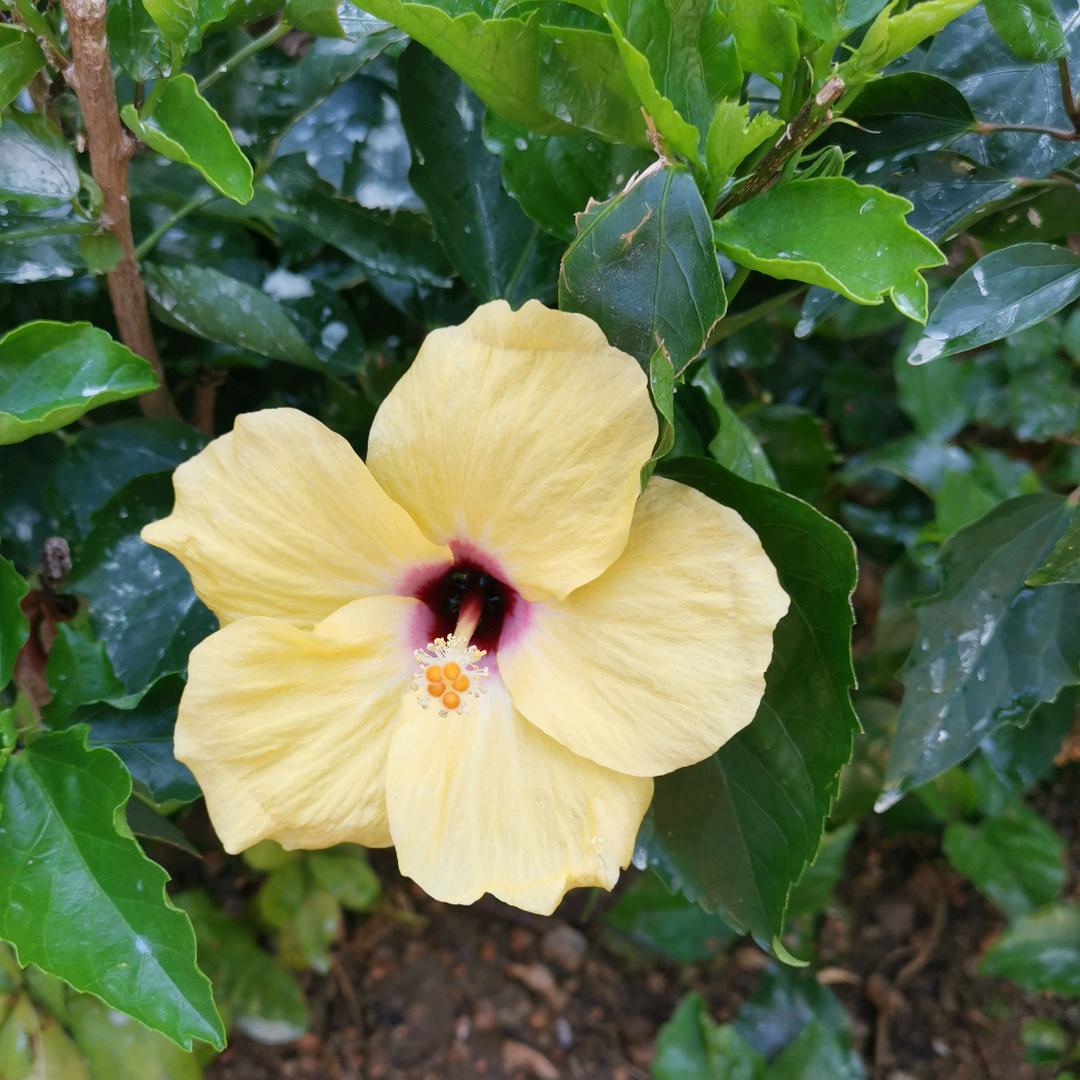 得之淡然☀️☀️