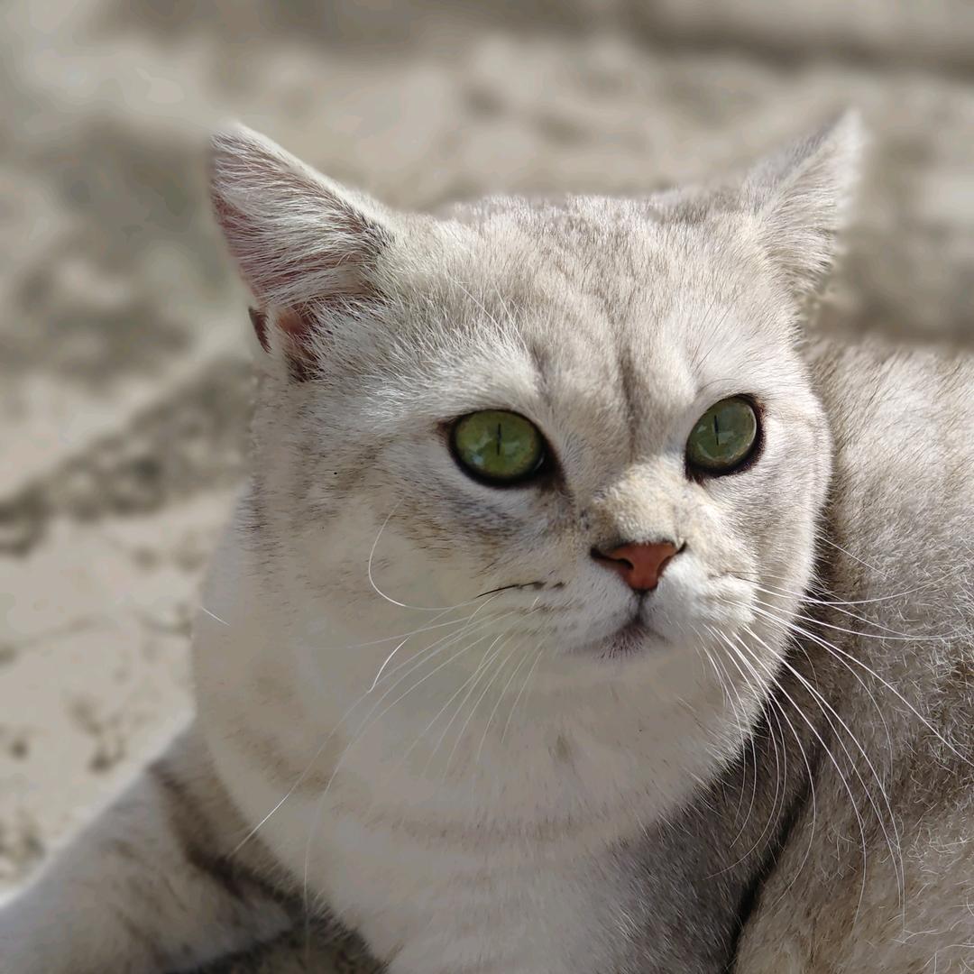 时间煮雨（私信解封版）