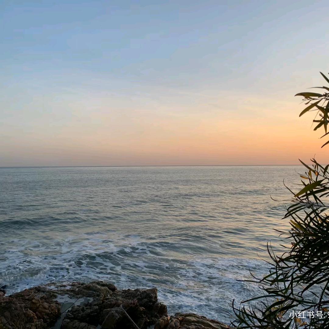 只饮热水不谈过往