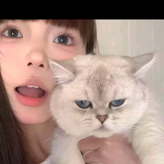 林妹妹