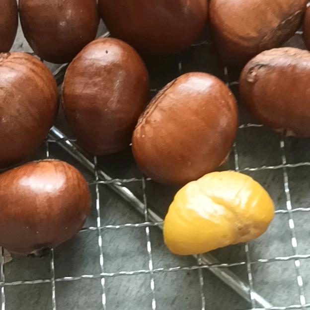 东旭板栗购销！梁谦万