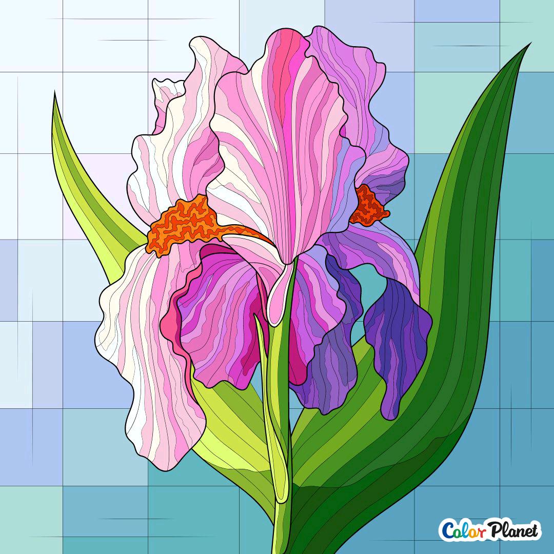 芋你相芋是缘