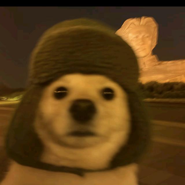 冯能瘦呀