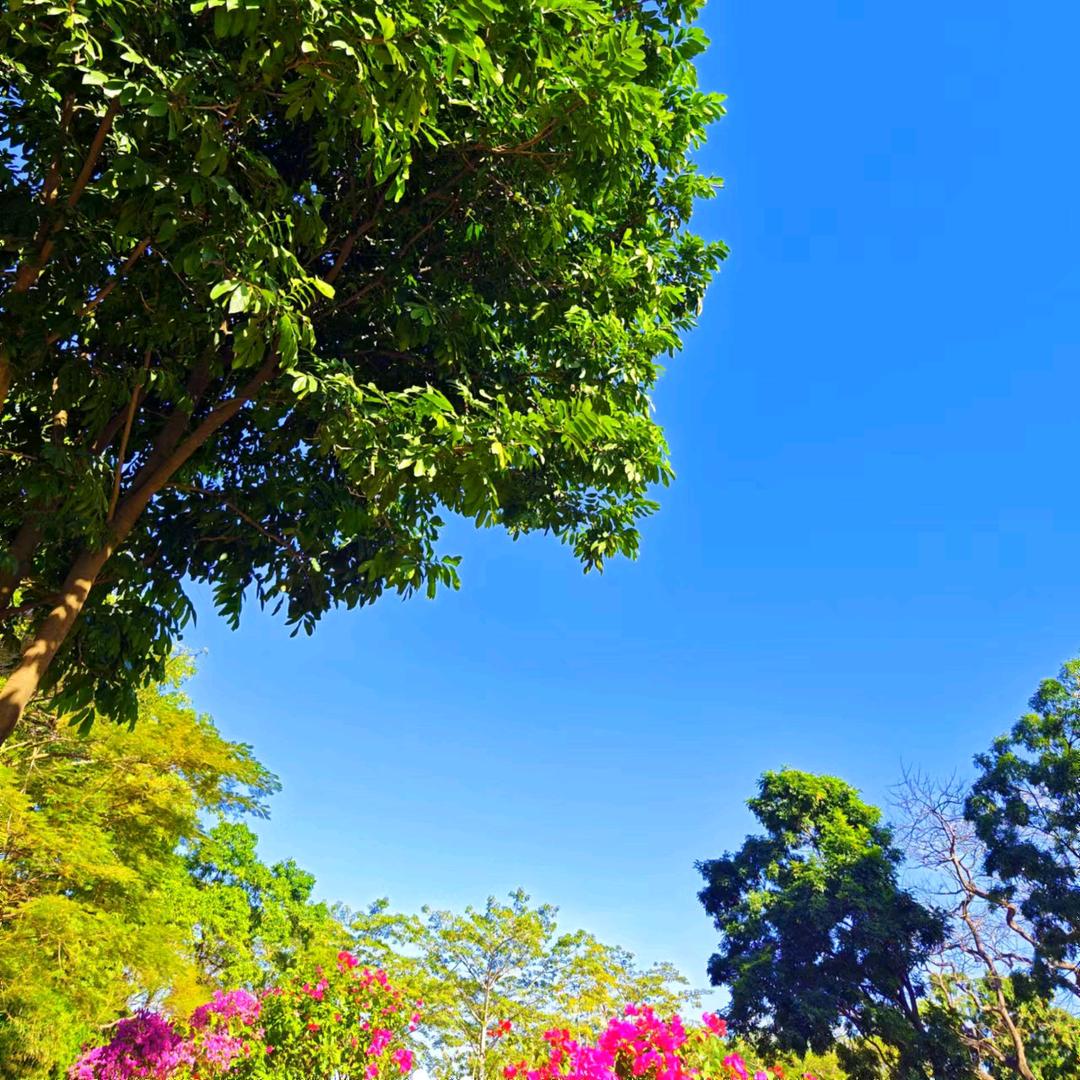 馨煜（石头御守）