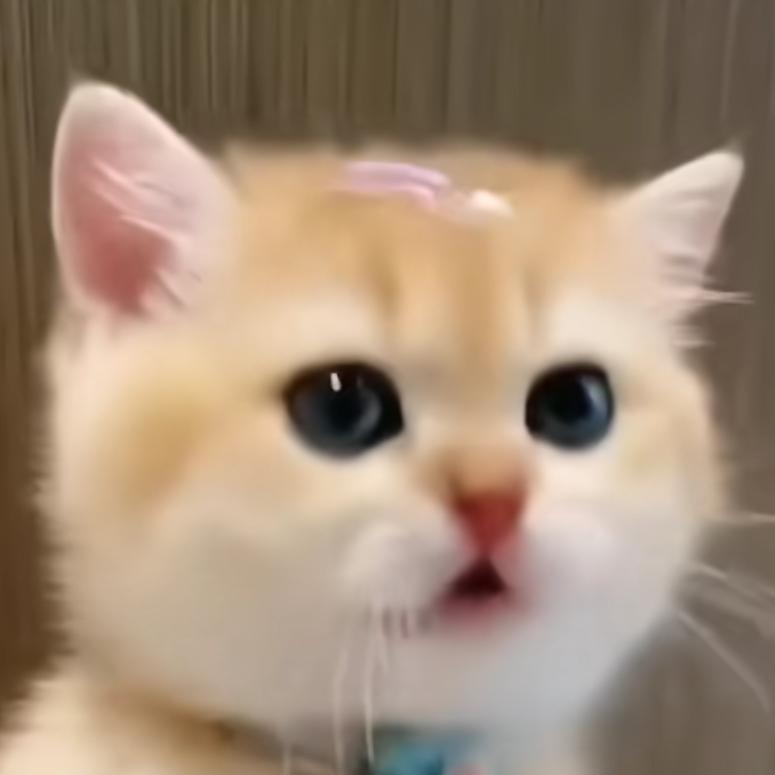 福福百货