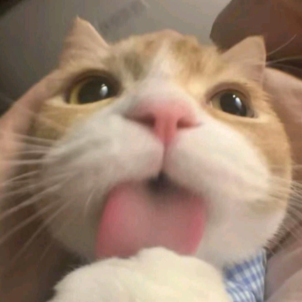 做一颗电子榨菜呀