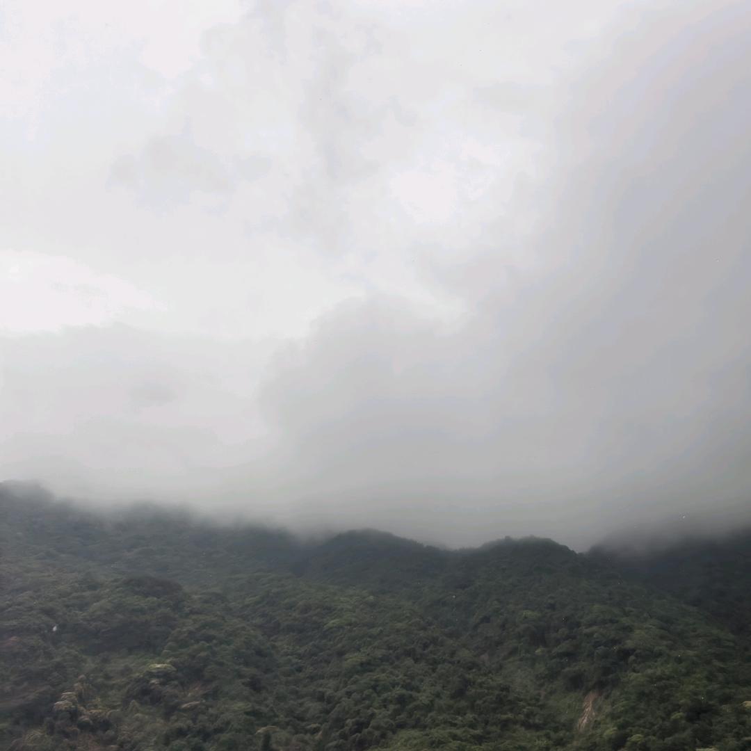 月下追逐