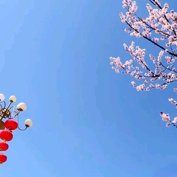 驰骋