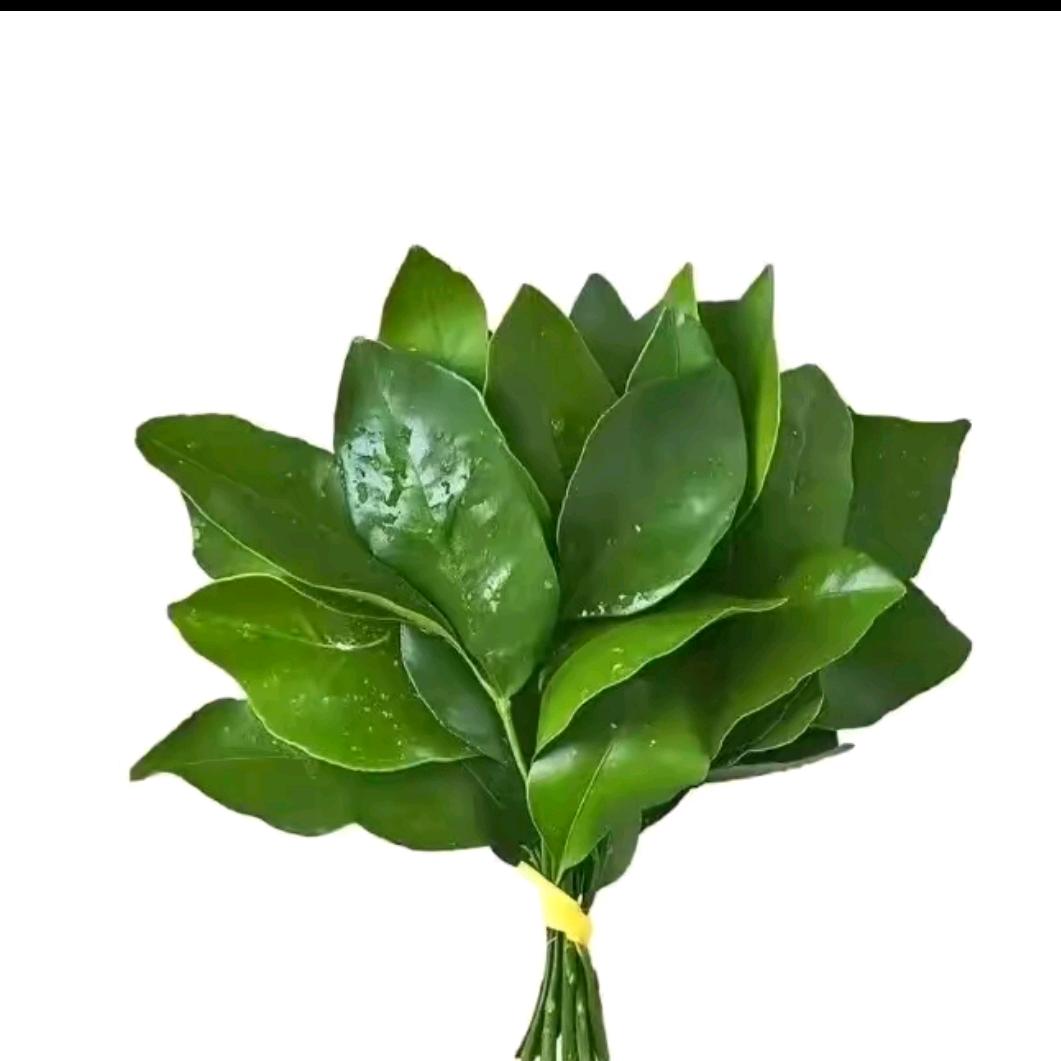 🍎洋洋得意🍎