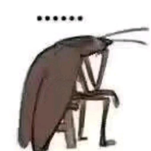 喜欢钟离被你发现~