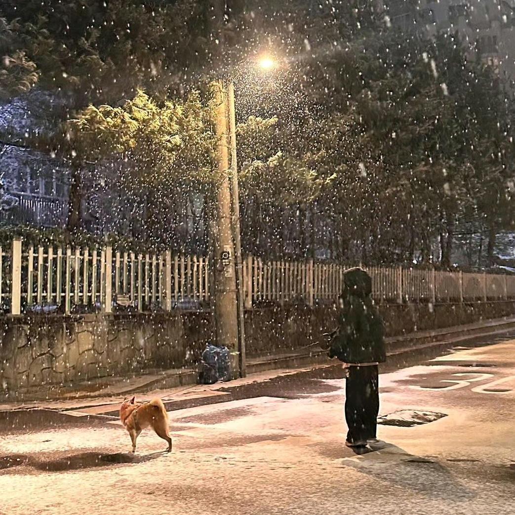 十元钱馅饼（见过宋雨琦版）