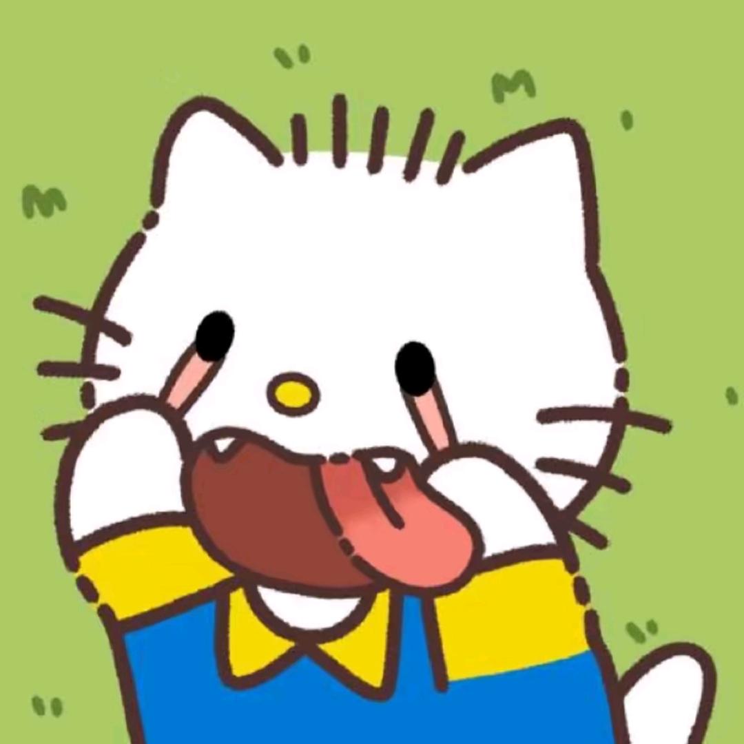 爱玩游戏的小凡