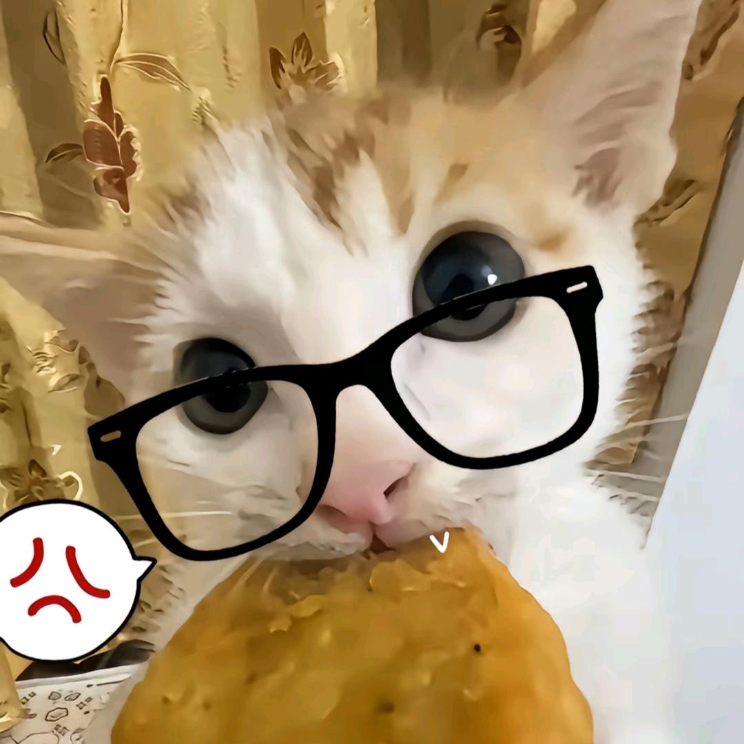 🍽