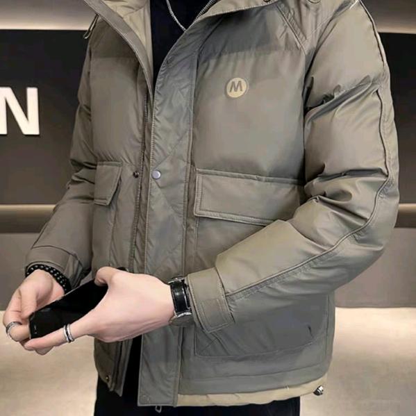 龙金银