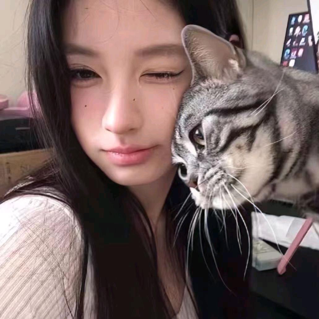 工具箱推荐