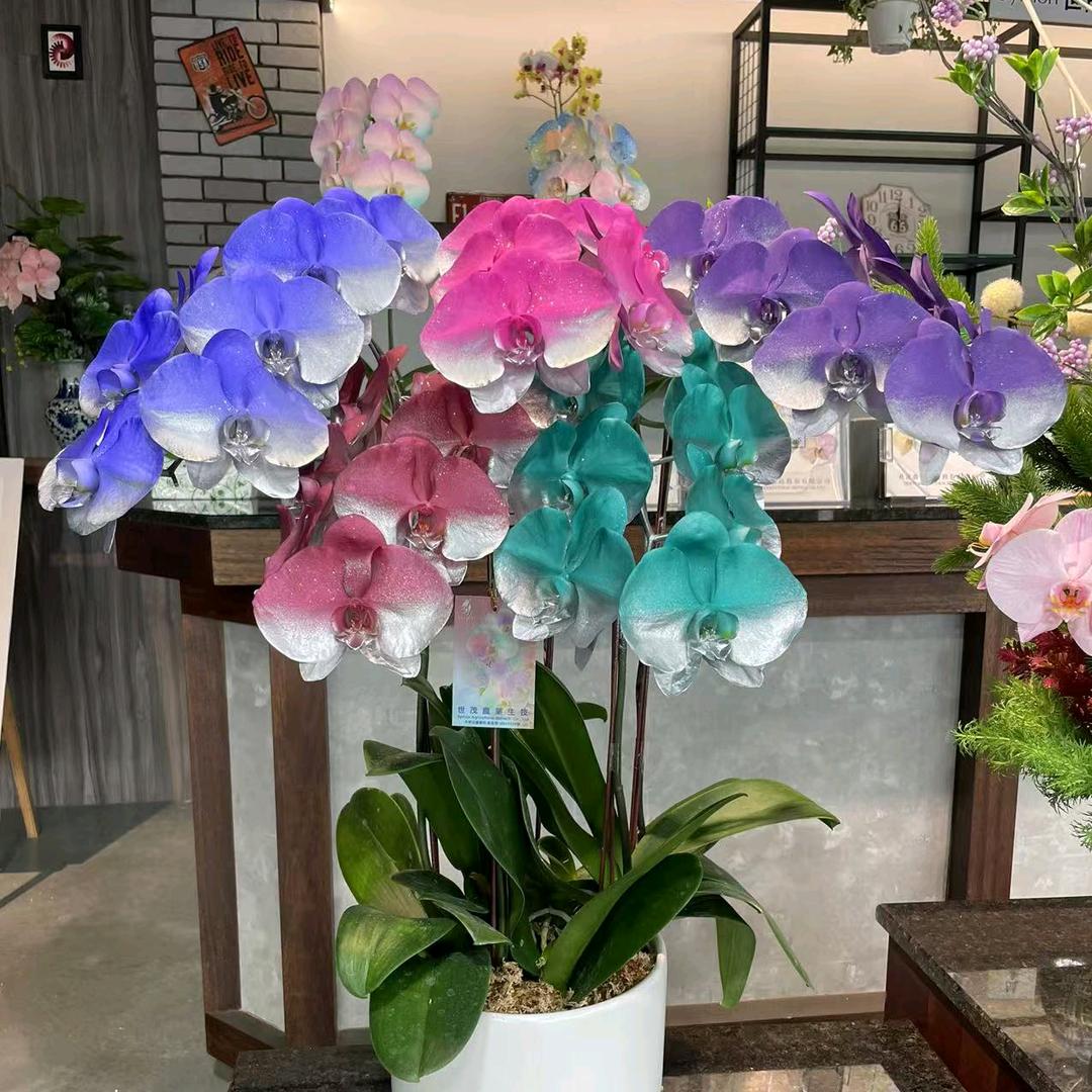 光芒
