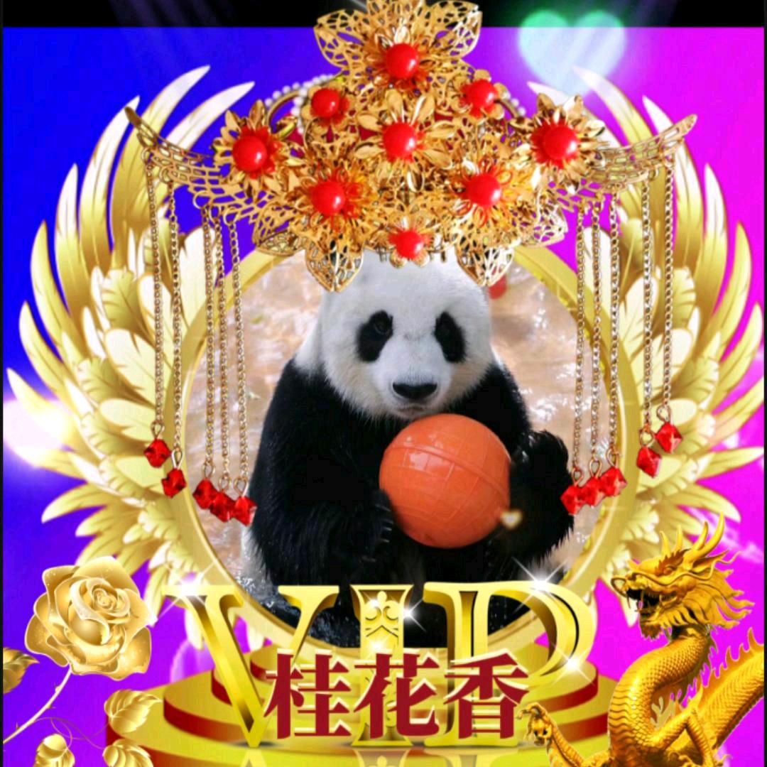 臭熊宝