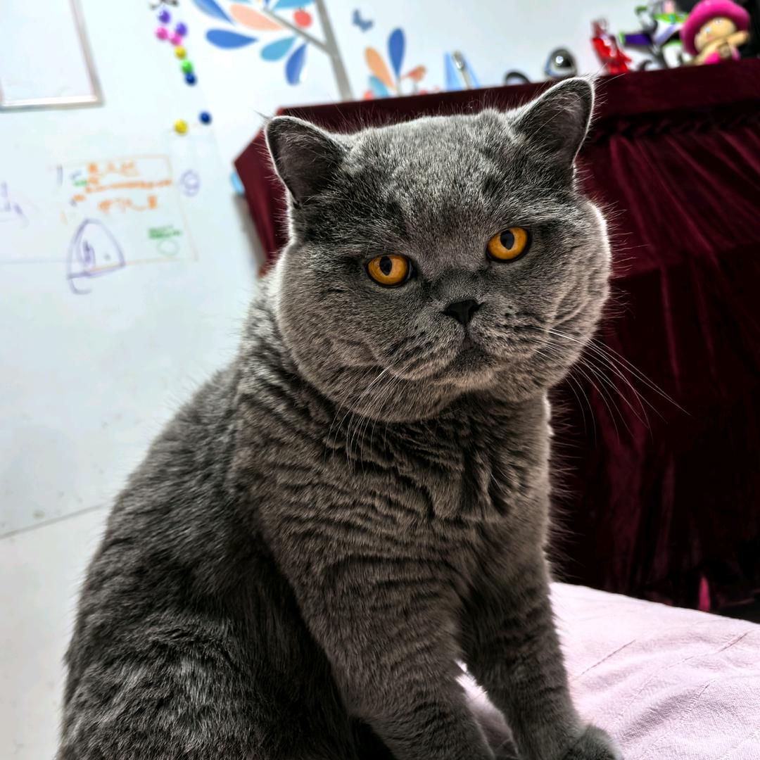 严重边