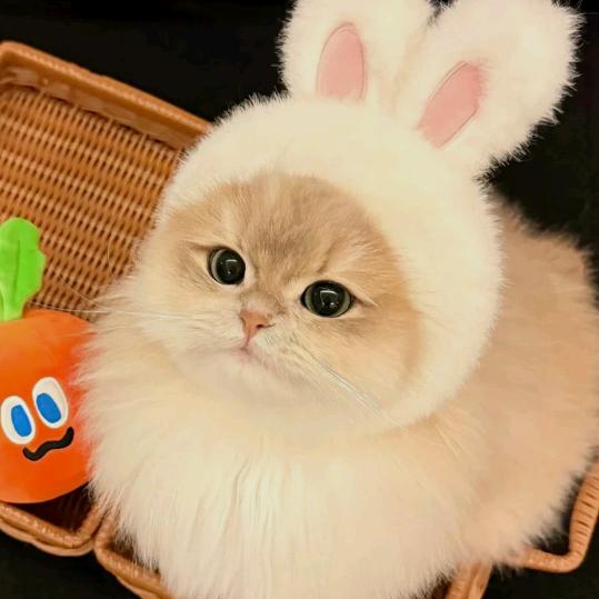 😎🤩🤗