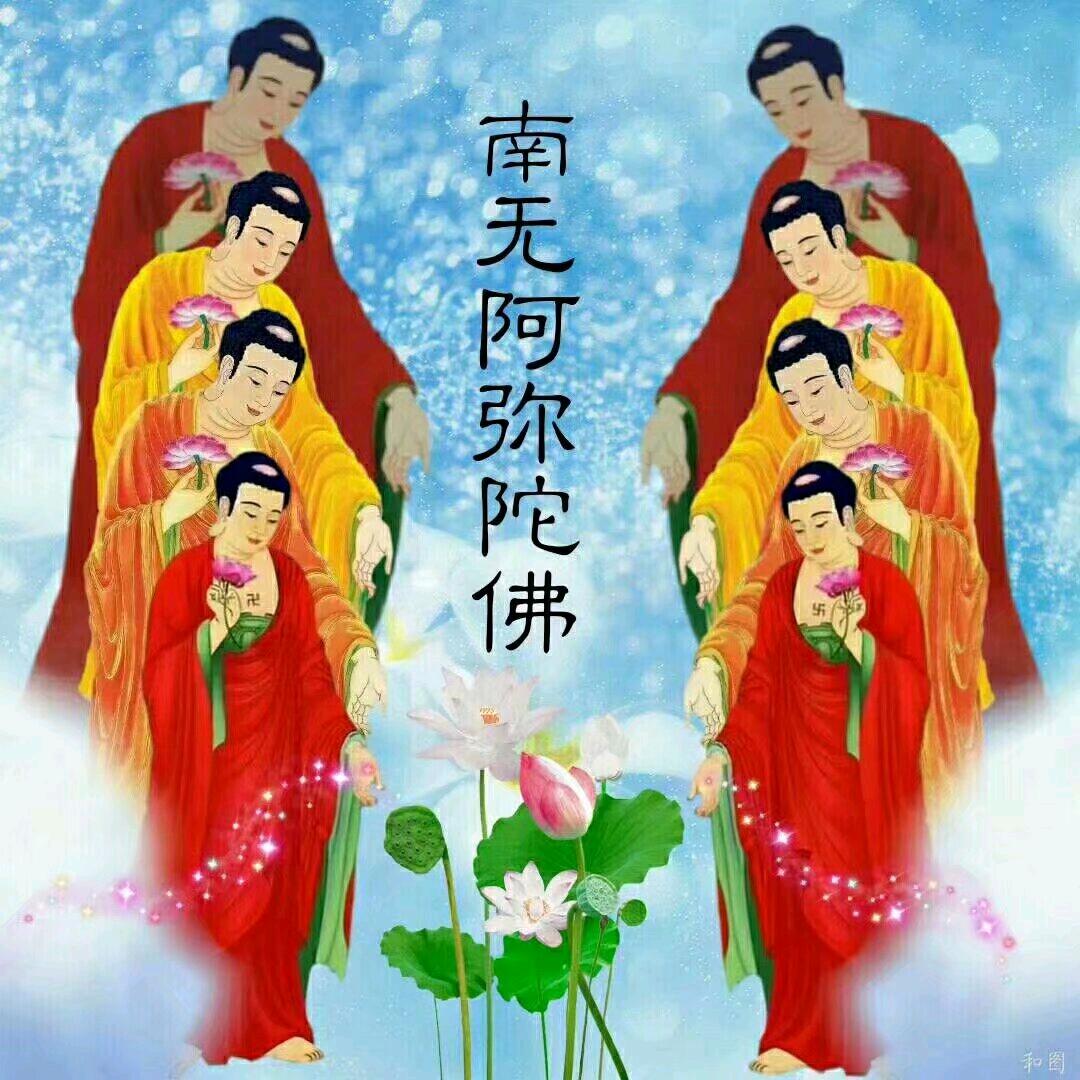 七宝莲